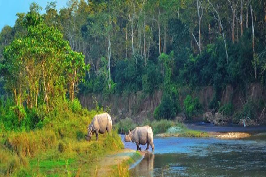 chitwan safari tourist bus