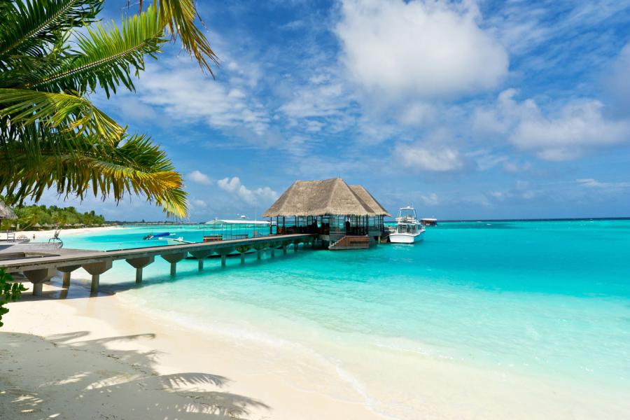 SRILANKA & MALDIVES (Honeymoon Offer for a Couple)